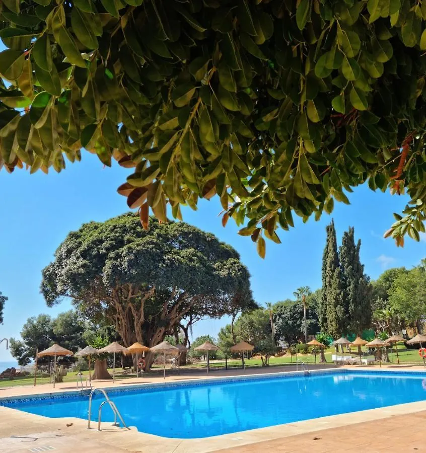 Lemon Tree Apartment location